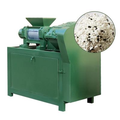Chine Double équipement de granulation de la machine NPK de granulatoire d'engrais de rouleau à vendre