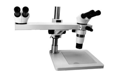 China Multi-Viewing Microscopio Stereo Microscope Industrial Microscope with Max Magnification 80X and WD 276mm for sale