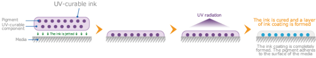 Mechanism of UV- curable ink adhesion