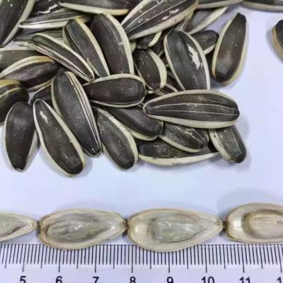 China wholesale Dried Sunflower Seeds Factory Direct raw Wholesale T6 Sunflower Seeds for sale