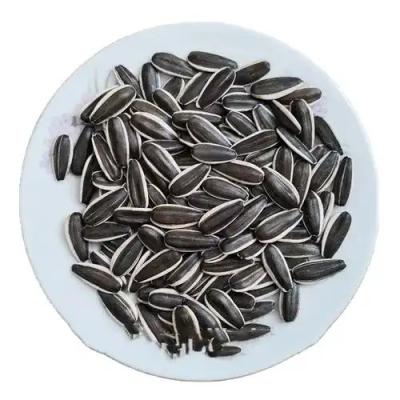 China wholesale Dried Sunflower Seeds Factory Direct raw Wholesale T6 Sunflower Seeds for sale