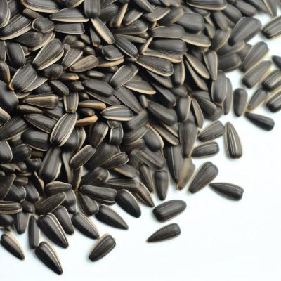 China wholesale Dried Sunflower Seeds Factory Direct raw Wholesale T6 Sunflower Seeds for sale