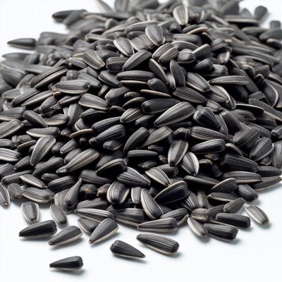 China wholesale Dried Sunflower Seeds Factory Direct raw Wholesale T6 Sunflower Seeds for sale