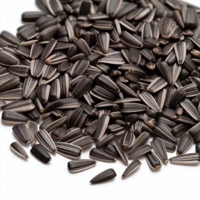 China wholesale Dried Sunflower Seeds Factory Direct raw Wholesale T6 Sunflower Seeds for sale