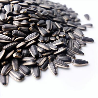 China wholesale Dried Sunflower Seeds Factory Direct raw Wholesale T6 Sunflower Seeds for sale
