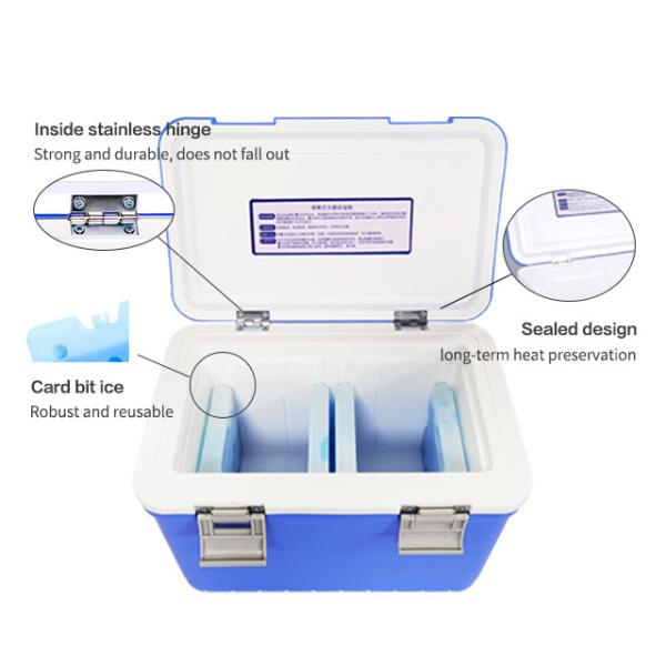 Quality Multi Functional Hard Cooler 10L Transport Medical Cold Box for sale