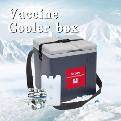 China 1.5L 1.7L Vaccine Cooler Box Ice Chest Cooler Box With Removable Lid for sale