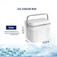 Quality Camping Plastic OEM Ice Chest Cooler Box White Best Cool Box Easy To Carry for sale
