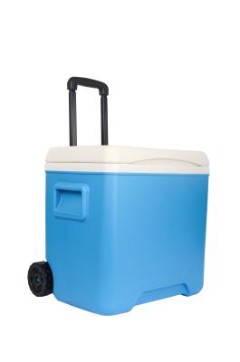 China Portable Cooler Box Cold Chain Transportation Outdoor Camping Function for sale