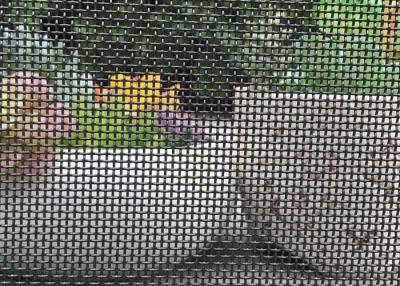 China Stainless Steel Security Window Screen for sale