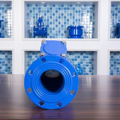 China Ductile Cast Iron Flange Y Type Strainer Filter Valve For Water Line Dn150 for sale