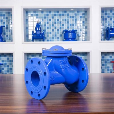 China Cast Iron DN100 Flanged Swing Check Valve PN250 GGG50 Water Treatment for sale