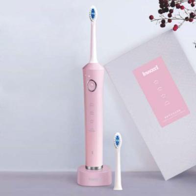 China Electric toothbrush replaceable intelligent timer powered by acoustic technology waterproof rechargeable toothbrush for sale
