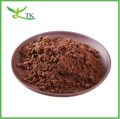 China Food Grade Plant Extract Powder 25kg Bulk Alkalized Cocoa Powder for sale