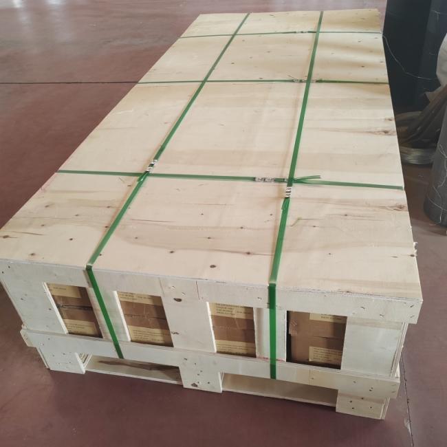 Stainless steel plain weaving mesh packing