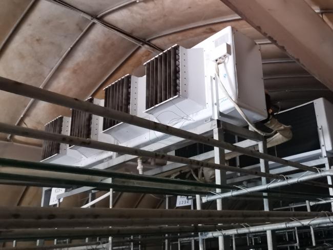 Mushroom greenhouse ventilation system