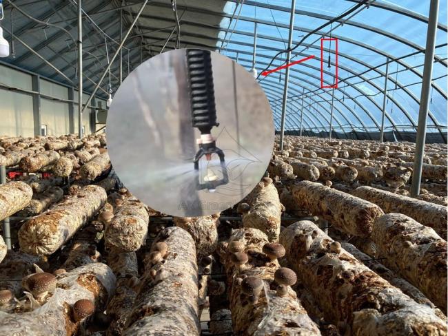 Mushroom greenhouse micro-spraying system