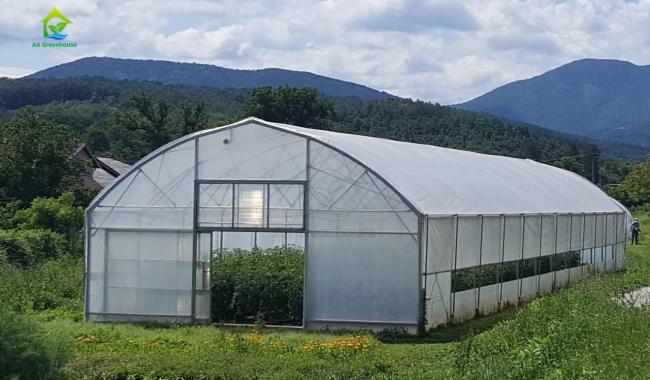 single-span film tunnel greenhouse