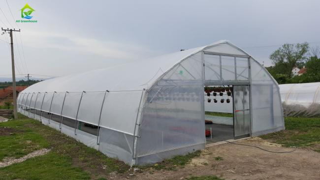 single-span film tunnel greenhouse