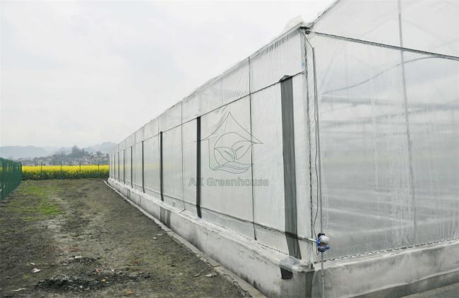 tunnel film greenhouse side wall