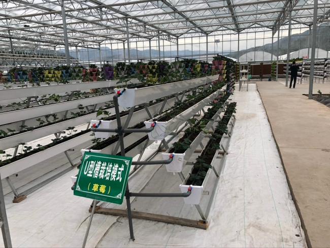 Multilayer Structure A-frame PVC Planting Troughs Greenhouse Strawberry Growing
