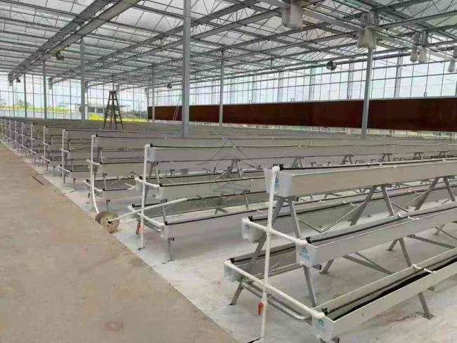 Multilayer Structure A-frame PVC Planting Troughs Greenhouse Strawberry Growing