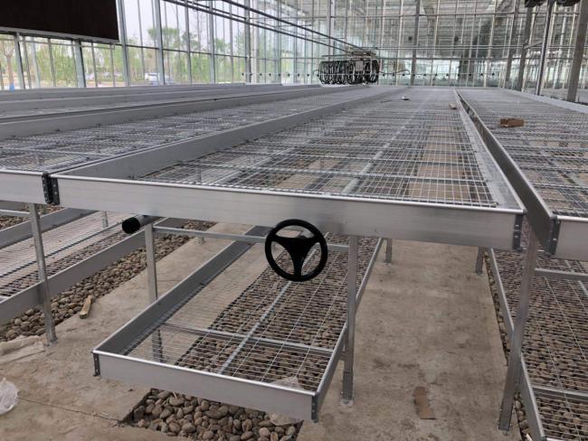 Movable Rolling Greenhouse Bench with Expanded Metal Mesh
