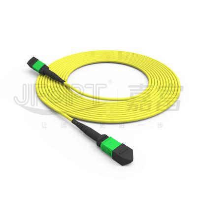 China 24-Core Single-Mode MPO Trunk Cable G657A1/G657A2 Backbone Jumper for sale