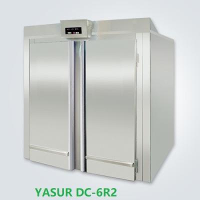 China 220v Dough Retarder Proofer Yasur YDC-6R2 Roll In Type 6 Racks 40X60cm Tray for sale