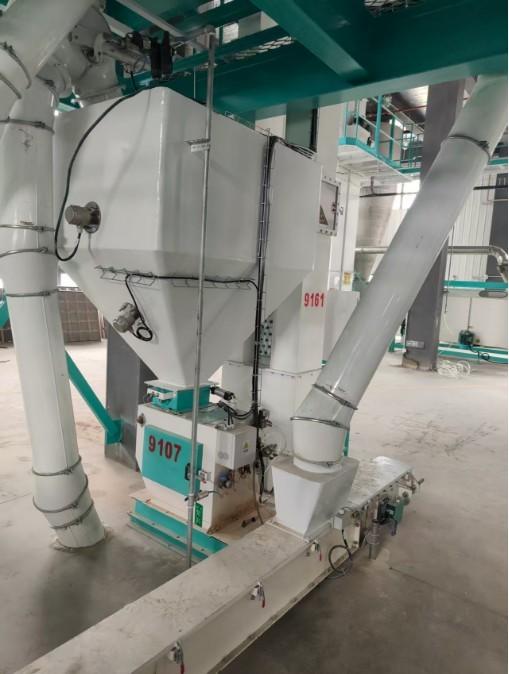Enzyme coating system
