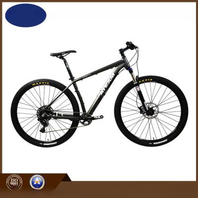 China 29er Sram Nx 11 Mountain Bicycle (MTB14) for sale
