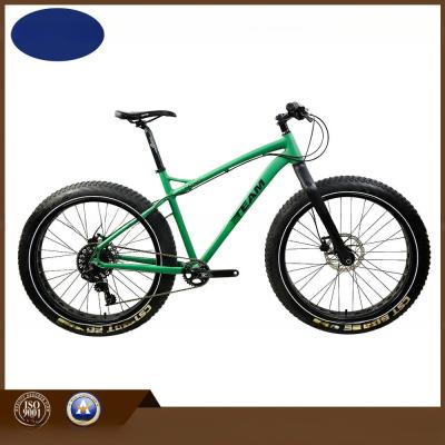 China Ys Paint Sram Nx 11 Speed 26 quot Alloy Snow Mountain Bike for Winter Exploration for sale