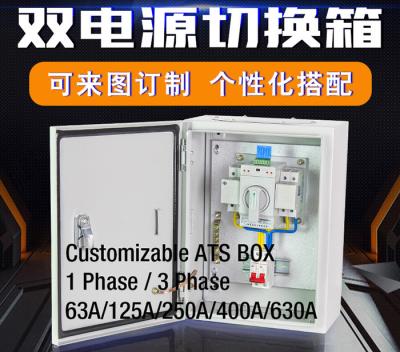 China Compact Single Phase Automatic Transfer Switch ATS Box Waterproof Wall - Mount 2 Pole 63A  400V for sale