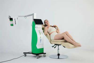 China 2023 New Arrival Permanent Fat Reduction Machine 10d Emerald Laser Luxmaster Slim Machine for sale