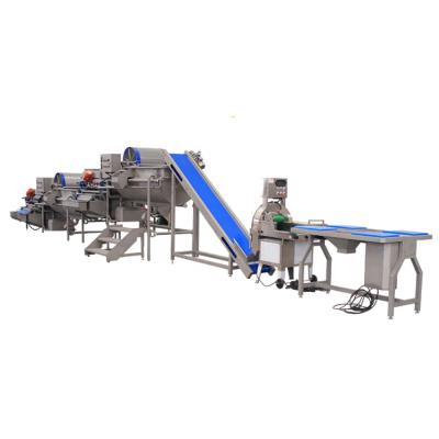 China Electric Fruit Vegetable Processing Machine Kitchen OEM ODM  1.75L for sale