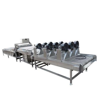 China 400-600kg Fruit Vegetable Processing Machine Automatic  Fruit Drying And Sorting for sale