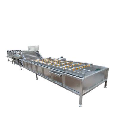 China Industrial Fruit Vegetable Processing Machine Automatic 400KG  300-1000kg/h for sale