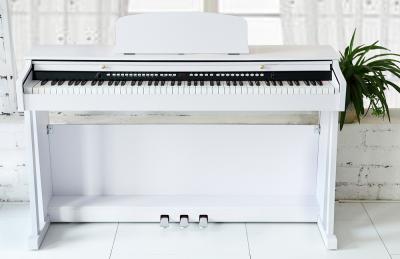 China Piano electrónico de 88 de Digitaces notas dominantes del piano 88 con el teclado DP8830A de la acción del martillo en venta