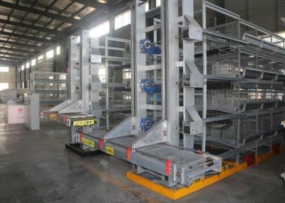 China Hot -dip Galvanizing technology  Automatic Chicken Cage Conventional Cages For Laying Hens for sale