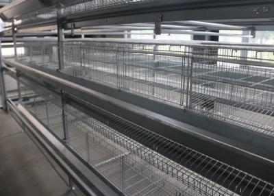 China 160 Birds Layer Chicken Cage Automatic Controlling System Q235 Steel Wire Material for sale