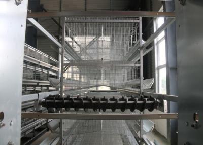 China Automatic Layer Chicken Cage  Hen Poultry Cage Construction For Farm for sale