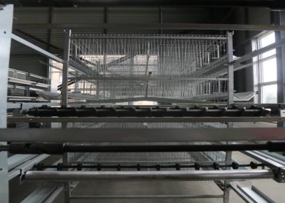 China 8 Tiers Commercial Poultry Equipment Wire Poultry Cages Simple Structure for sale