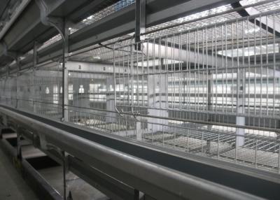 China Full Automatic Poultry Farming Equipment 1200×625×480 Mm Low Pollution for sale