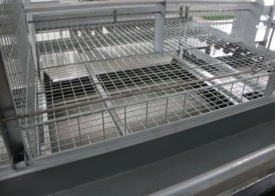 China Multi - Tiers Baby Chick Cage Q235 Standard Steel Material Easy To Assemble for sale