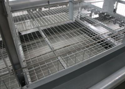 China 4 Tiers A Type Chicken Cage Holding Poultry Electrostatic Spraying Treatment for sale