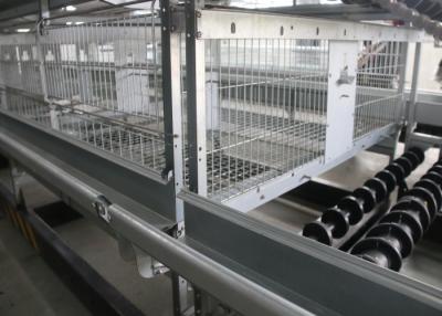 China Poultry Farm A Frame Layer Cages 1200×625×480 Mm Q235 Standard Steel Material for sale