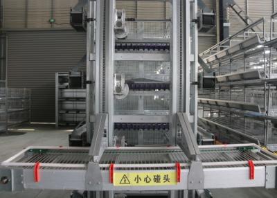 China High Efficiency Automatic Egg Collection System / Egg Farm Machinery for sale