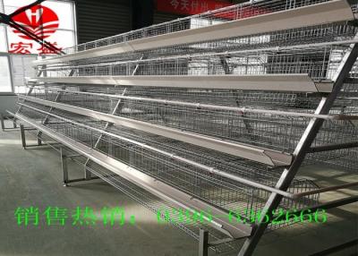 China Hot Galvanized Poultry Manure Removal System 5 Tiers Intelligent  Control for sale