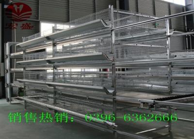 China Conveyor Belt  Automatic Manure Removal System Convenience ISO9001 Approved for sale