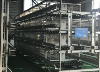 China Reliable Layer Farming Equipment Intelligent Environmental Control System for sale